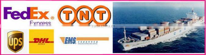 Toothbrush custom 10pcs oval private label makeup brush set