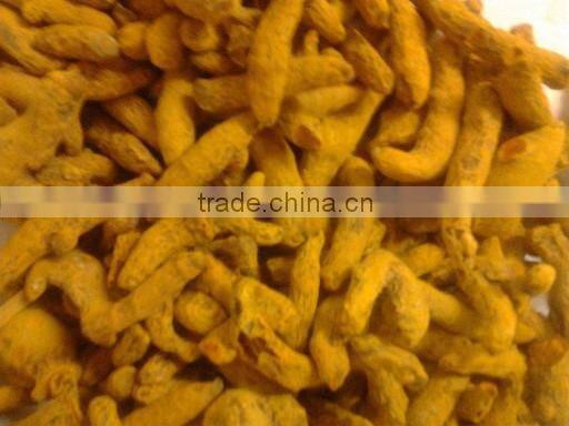Turmeric Finger, Erode Turmeric Finger, Nizamabad Turmeric Finger