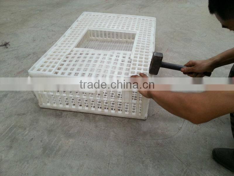 Big strong chicken transport crates