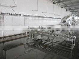 poultry slaughter house