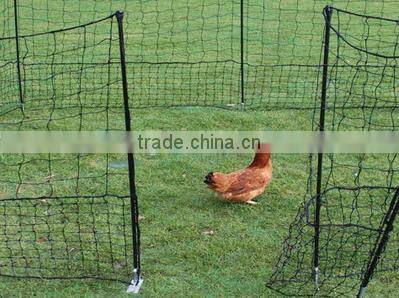 PE Chicken net.Aviary Netting