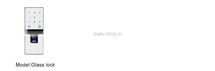 2016 best selling factory price intelligent lock