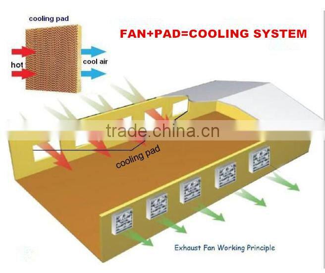 Stainless Steel Blade Industrial Axial Ventilation Fan