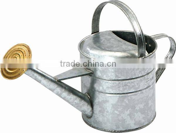 10L Large Capacity Garden Galvanized Steel Watering Can