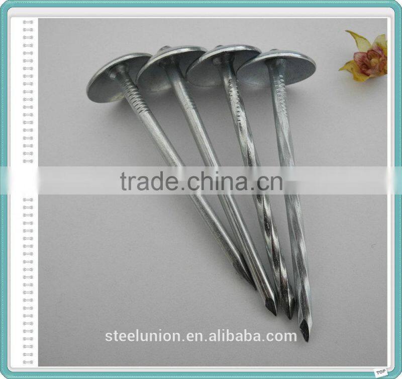 BWG9 BWG10 Export to Africa and Myanmar Indonesia E-galvanized Umbrella Head ROOFING NAILS