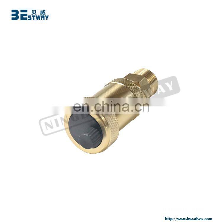 BWVA Good Reputation Factory most attractive safty valve