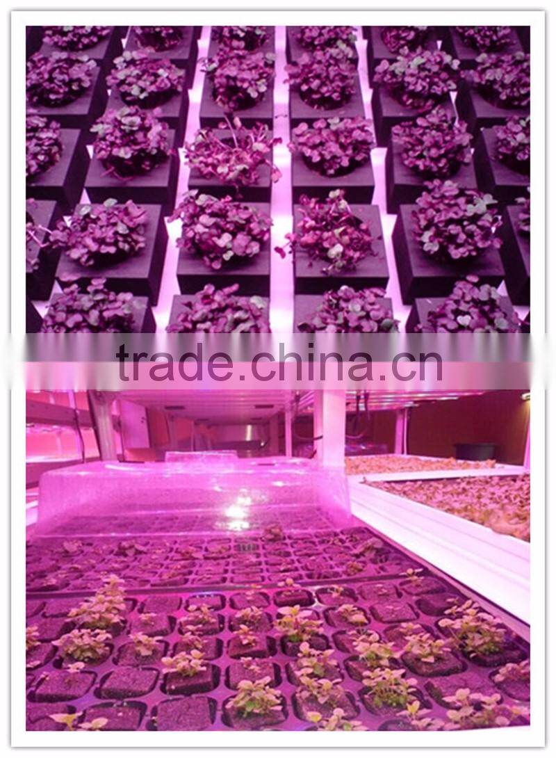 Ce rohs approved 24w t8 fixture high power led grow light outdoor