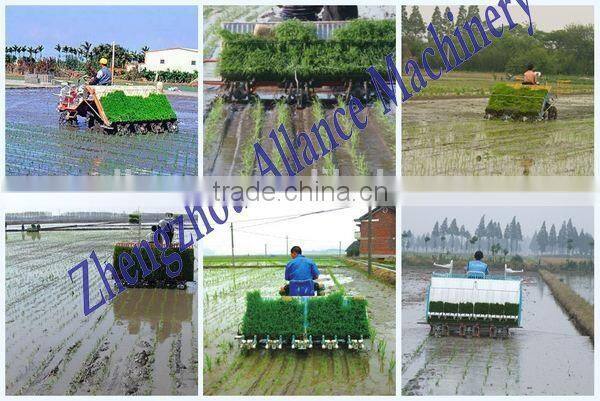 Popular in Asia automatic tray seed machine made in China