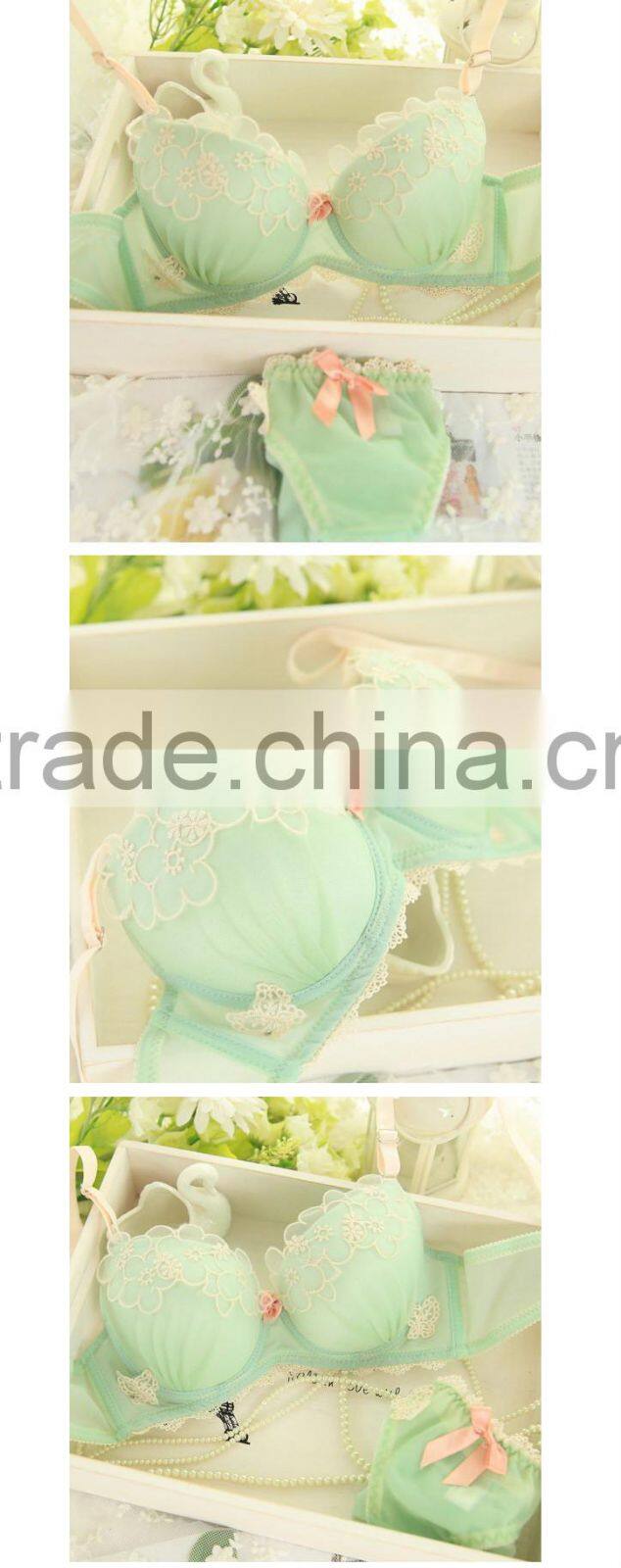 Lace Embroidery Transparent Underwear Bra