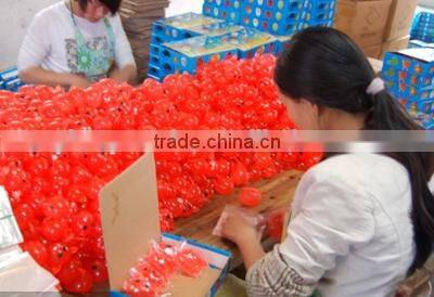 Hot Selling High Quality Colorful Pig Head Splat Ball