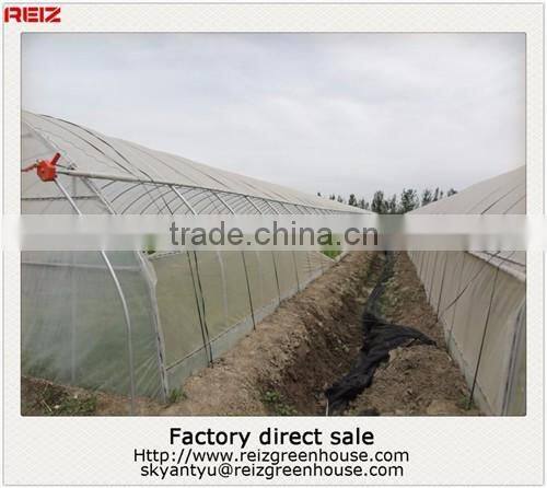 China greenhouse fogging system