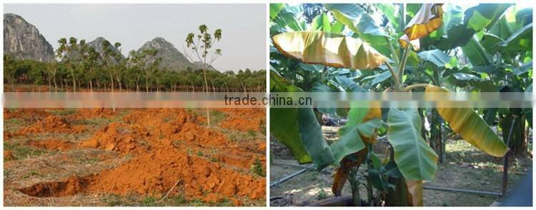 Huminrich Shenyang SH9002s-1 100PCT 55HA+65OM Soluble Super Grade Humic Acid