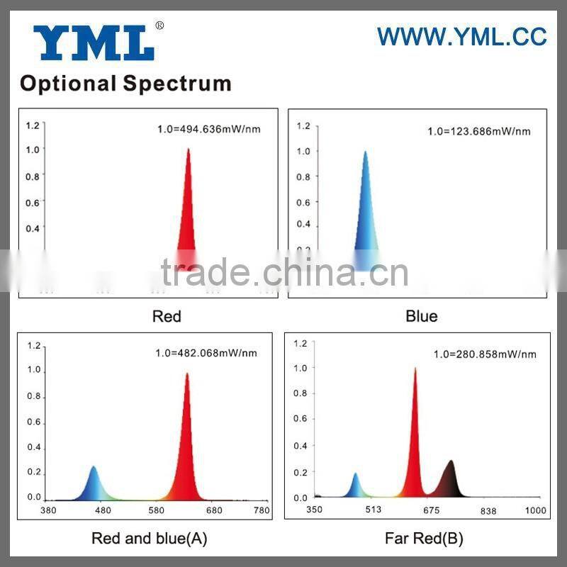 5 Years warranty Red and blue Emitting Color grow led lighting/ Medical hemp plant led gow light