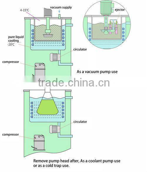 DLSB-FZ refrigerating circulating pump and vacuum pump