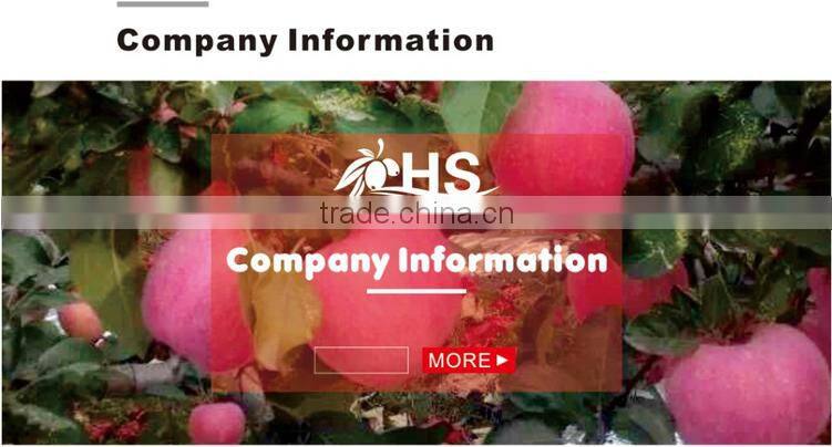 Chinese fresh honey fuji apple market price
