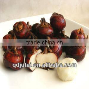 567g Canned Water Chestnut in tin