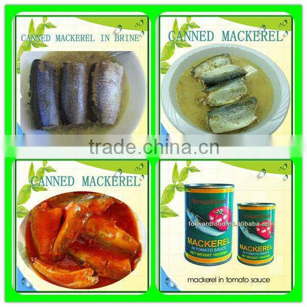 canned mackerel in vegetable oil