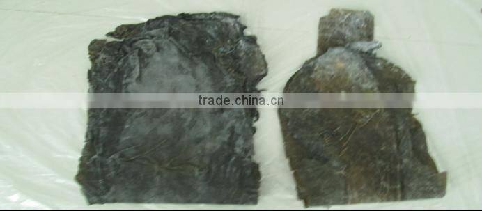 Dried kelp sheet, broad dried kelp leaves to conduct SPA treatments in beauty salons