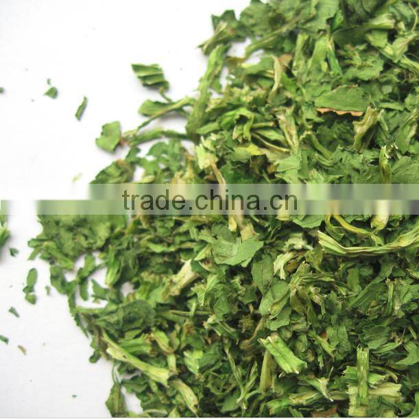 China online selling spinach powder best products for import