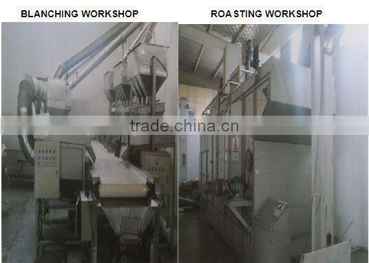 shandong blanched peanut kernel 35/39