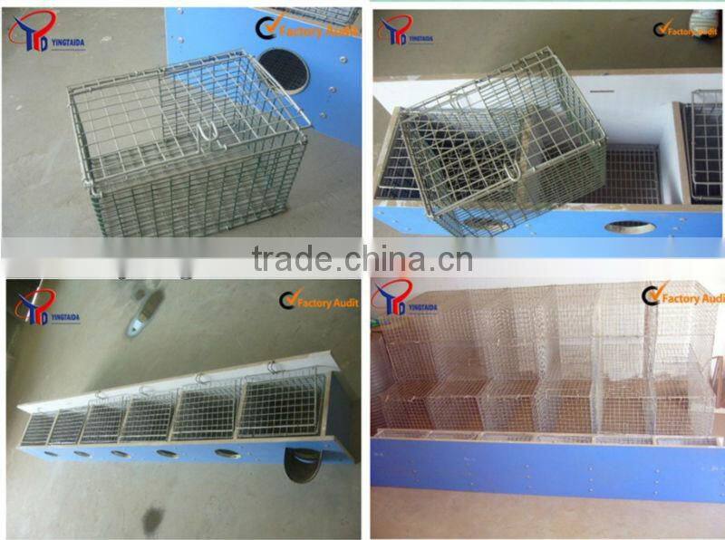 the latest mink cage factory price
