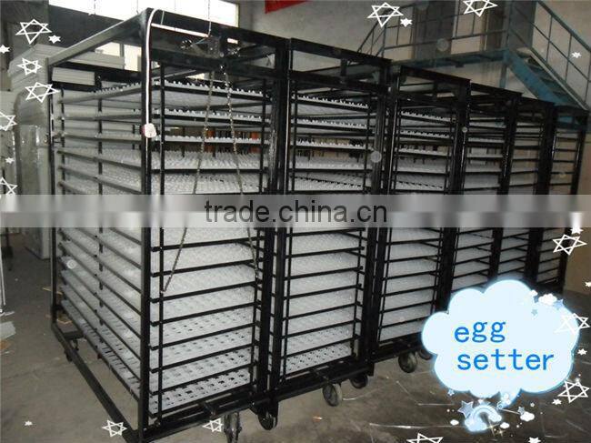 Automatic Large Chicken Incubator WQ-16896