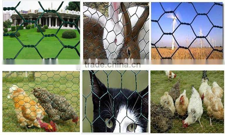 PVC coated Chicken Wire Mesh (Hexagonal Wire Netting)