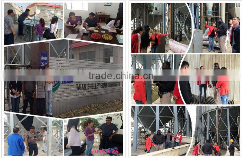 100Ton Cement Silo Price 100Ton Cement Silo For Sale