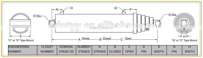 hydraulic cylinder seals