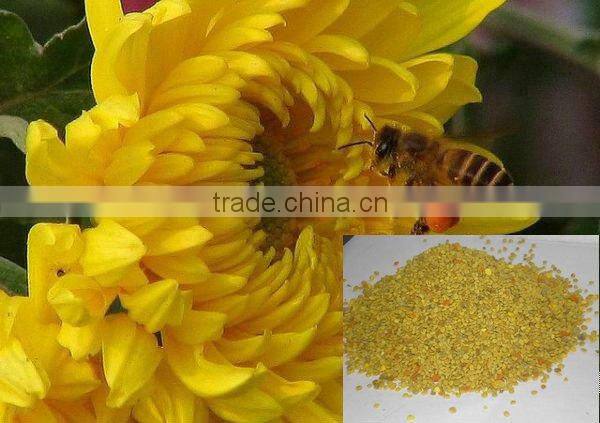 All Natural Sunflower Pollen Powder