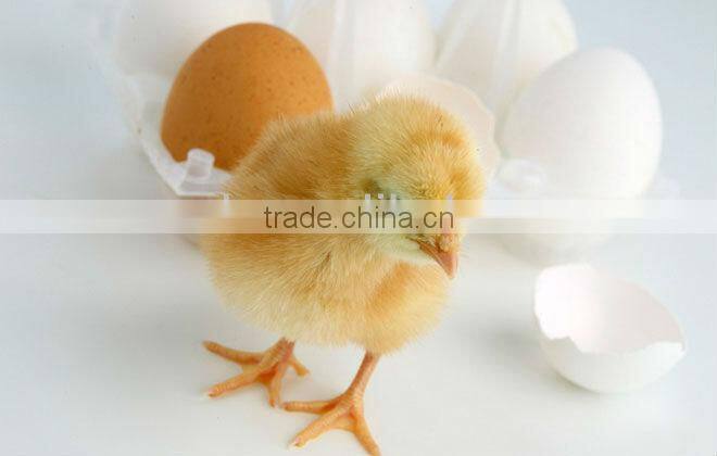 Egg hatching machine