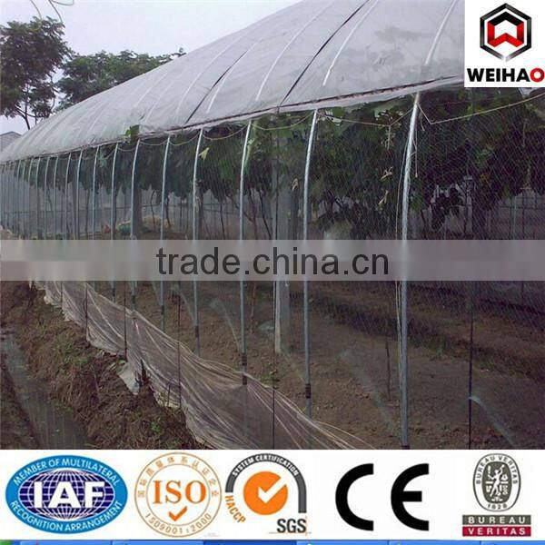 Factory Anti-bird mesh/plastic net