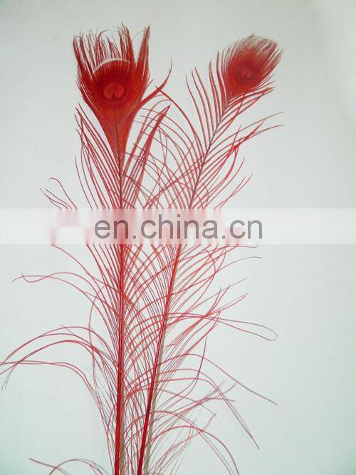 top quality red natural 80cm-90cm peacock feather