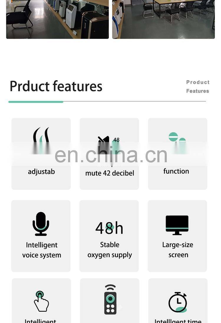 Hot Selling Cheap Custom Portable Concentrator Oxygen 3l With Battery