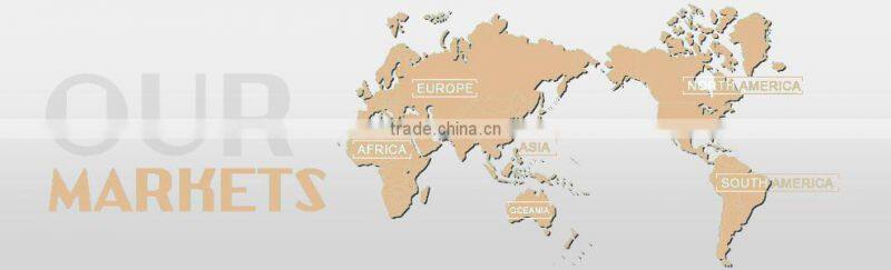 Hot Sales snow Queen Princess Adult Elsa Costume