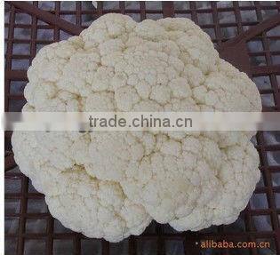 Best quality frozen cauliflower