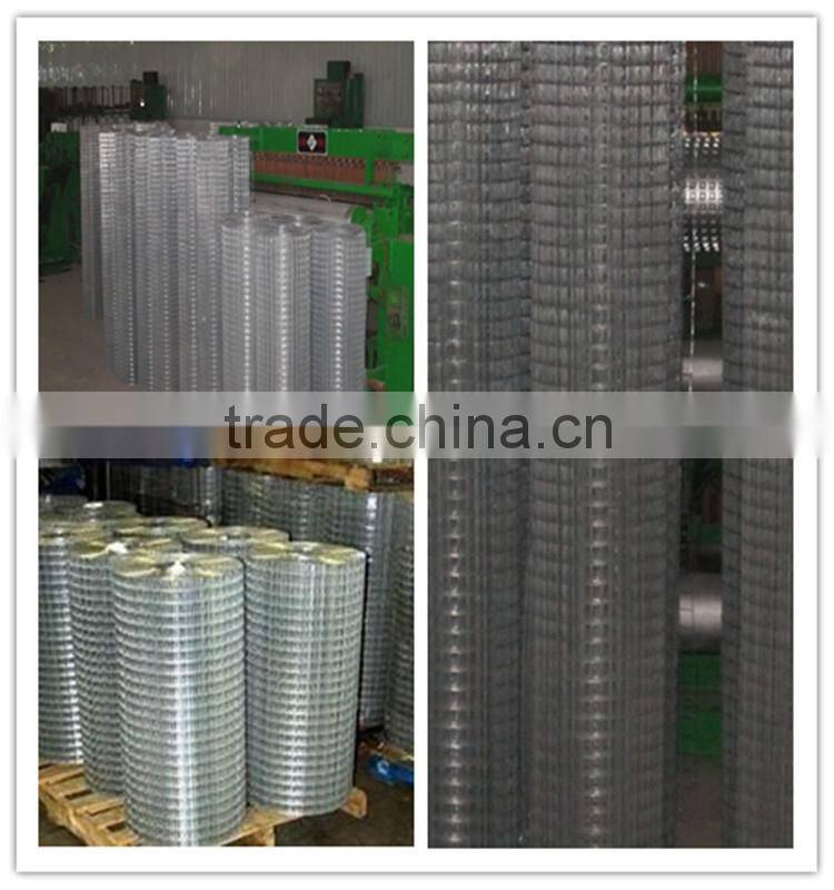 high quality and factory price galvanized welded wire mesh for machine protection
