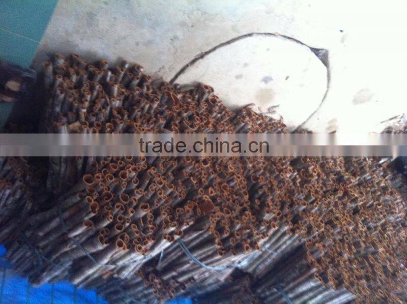 VIETNAM CASSIA / CINNAMON - DROP 2016