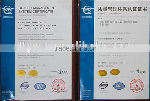 Diatomaceous earth/ Diatomite filler/ packing