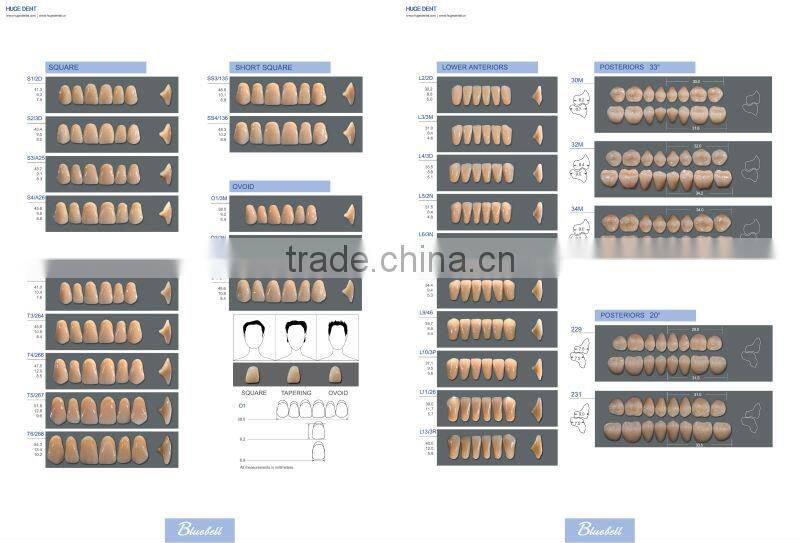 CE approved Synthetic Polymer Teeth