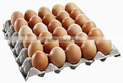 hot selling food box egg tray making machine /Paper Egg Tray Machine / Egg Tray Forming Machine