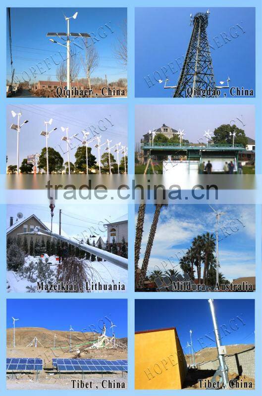 1KW High efficiency Variable Pitch Wind Turbine electric generating windmills for sale