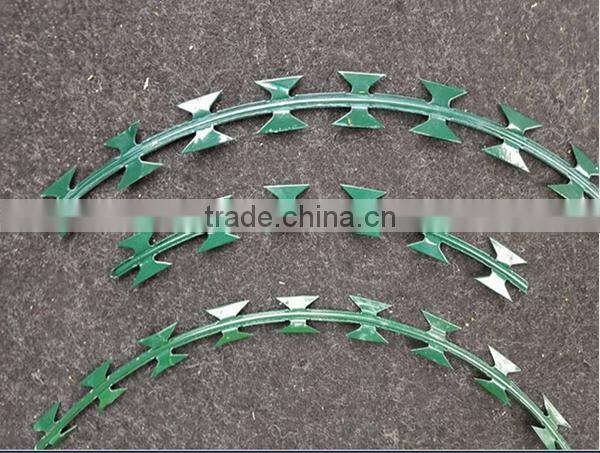 ISO9001 Silver elec-galvanized barbed wire fence for Private Area