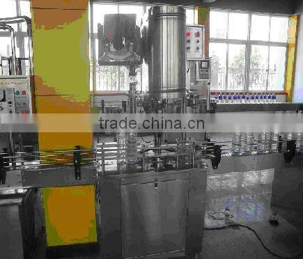 Vertical automatic bottle filling packing line
