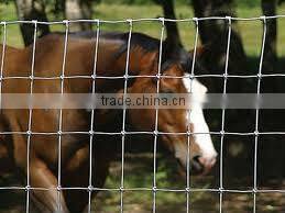field fence /farm guard field fence(ISO9001 factory )
