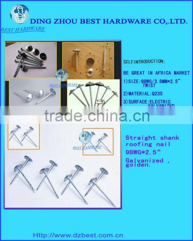 9gauge galvanized umbrella head ring shank roofing nail