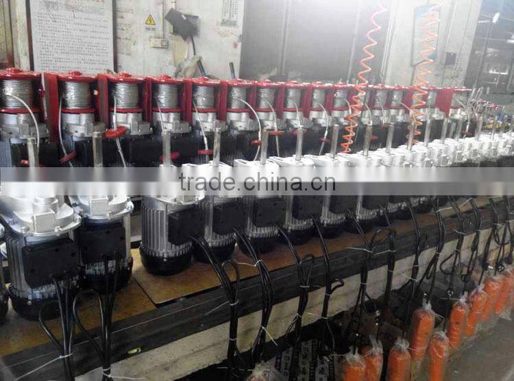 Electric Hoists Scaffold Hoist for Sale
