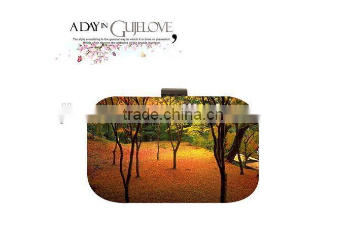 Party bag digital printing lady evening bag custom designs