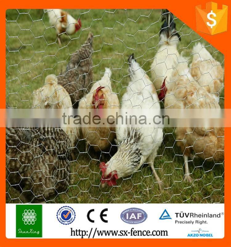 Anping Factory direct hexagonal wire netting with best price and quality