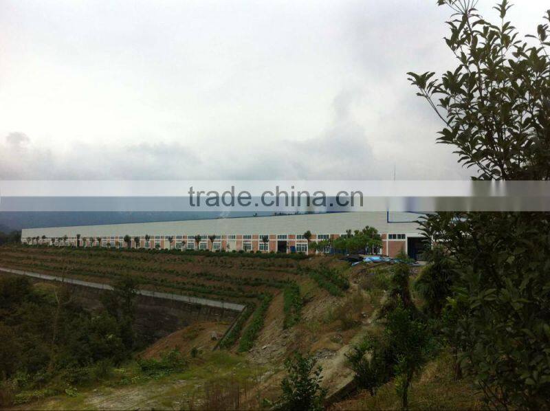 Private lable NW397g easy open canned broad beans shipping to Yemen